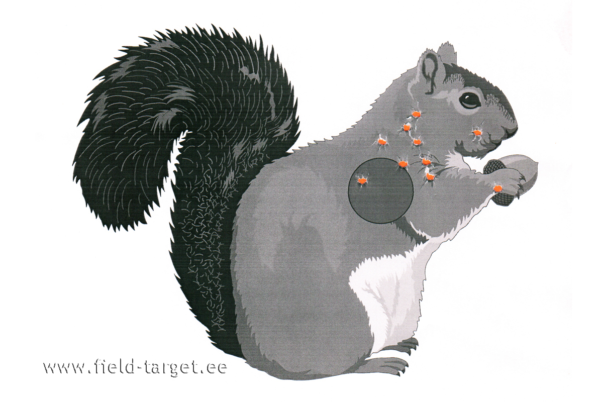 Theoben Evolution FT - test